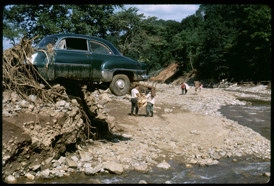 Nelson County